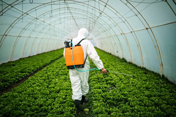 Best Best Pest Control Companies  in Stanley, VA