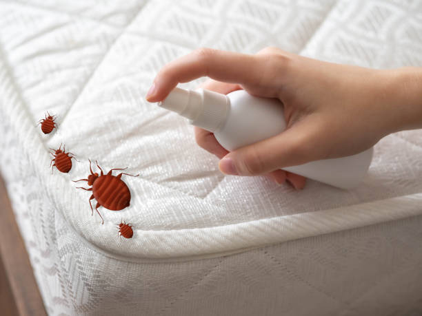 Pest Control for Restaurants in Stanley, VA