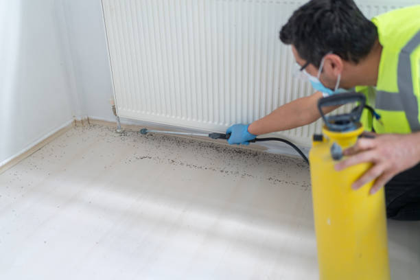 Best Commercial Pest Control Services  in Stanley, VA