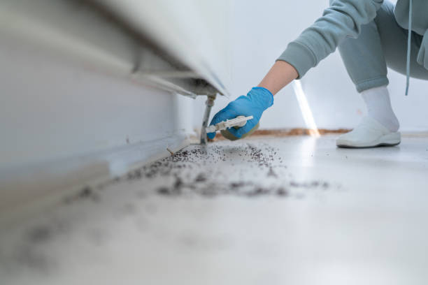Best Affordable Pest Control Services  in Stanley, VA